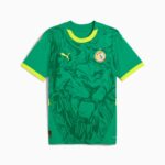 Maillot Sénégal 2025 extérieur – Image 3